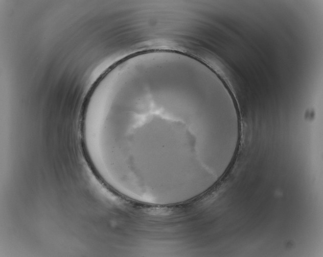 X0000111221141200907231434