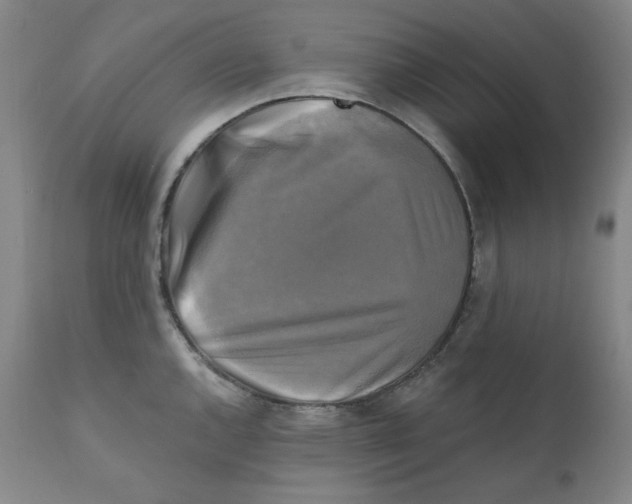 X0000111221144200907231434