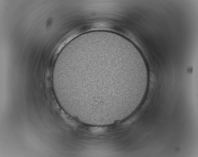 X0000111221145200907231434