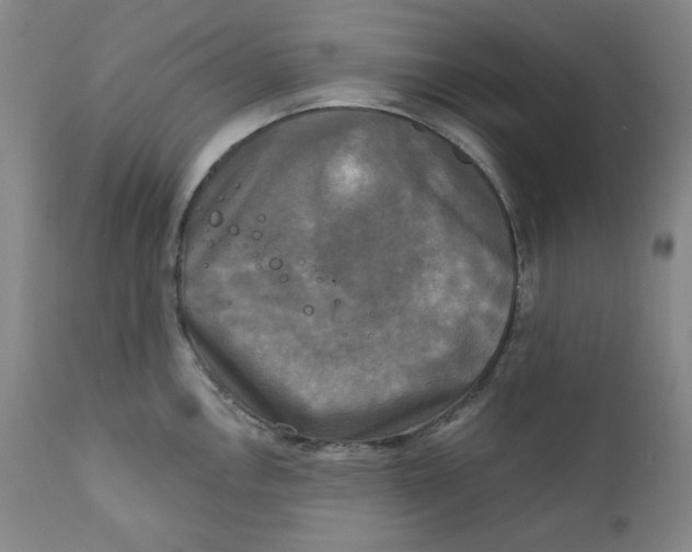 X0000111221146200907231434