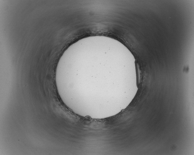 X0000111221153200907231434