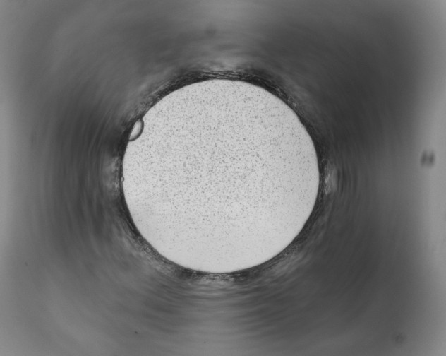 X0000111221156200907231434
