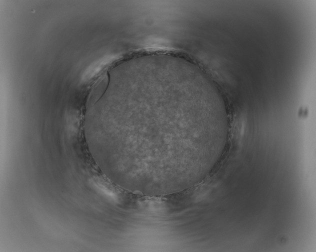 X0000111221157200907231434