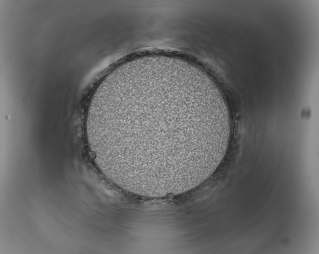 X0000111221159200907231434