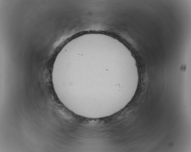 X0000111221160200907231434
