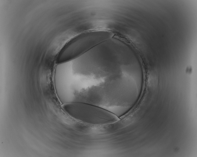 X0000111221161200907231434