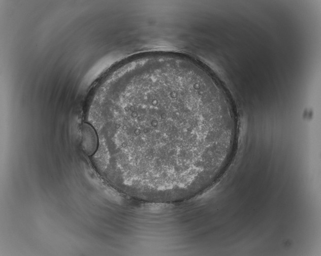 X0000111221163200907231434
