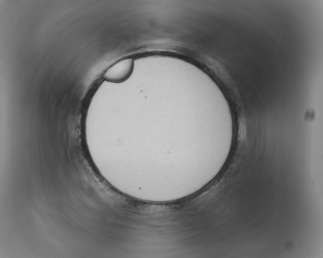 X0000111221164200907231434