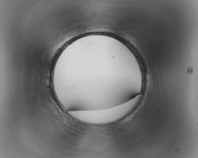 X0000111221165200907231434
