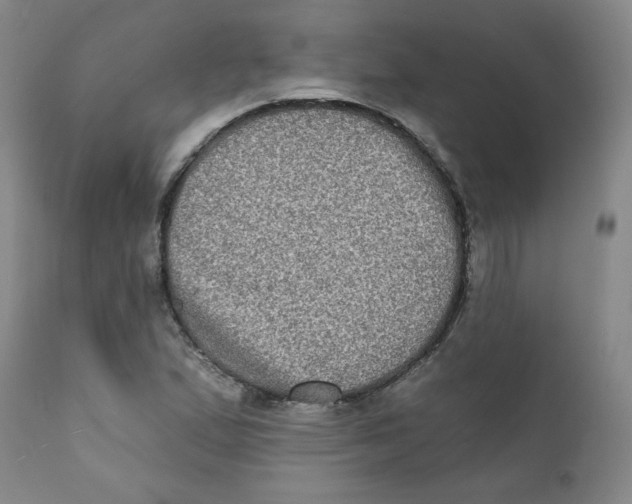 X0000111221167200907231434