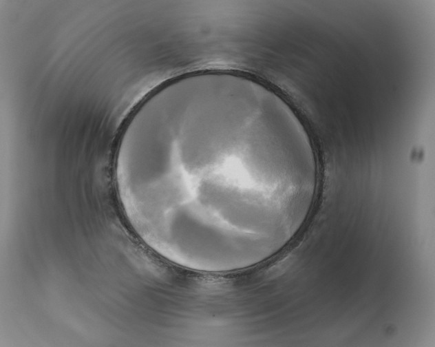 X0000111221170200907231434