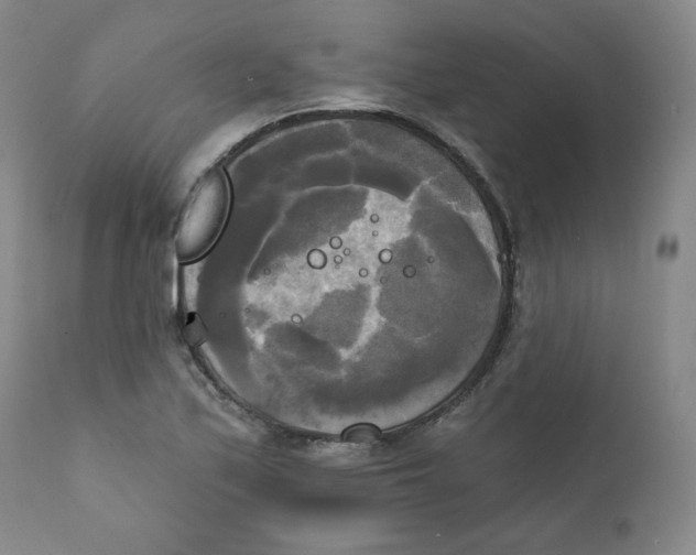 X0000111221171200907231434