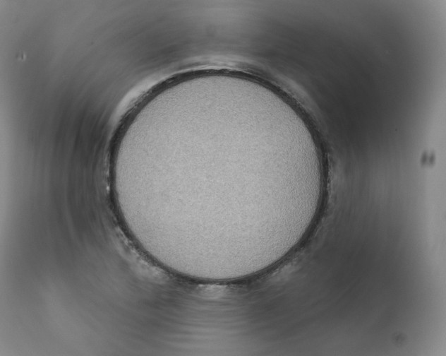 X0000111221172200907231434