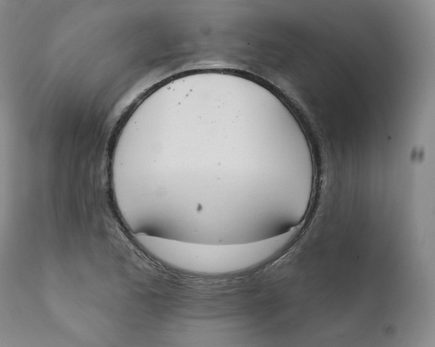 X0000111221173200907231434