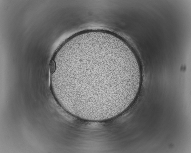 X0000111221175200907231434