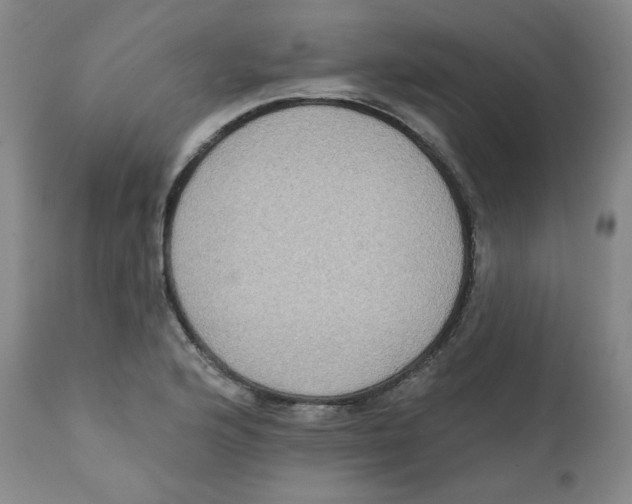 X0000111221176200907231434