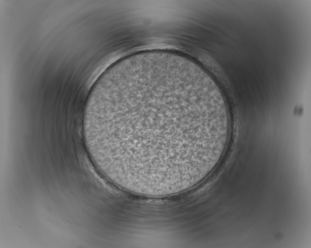X0000111221177200907231434