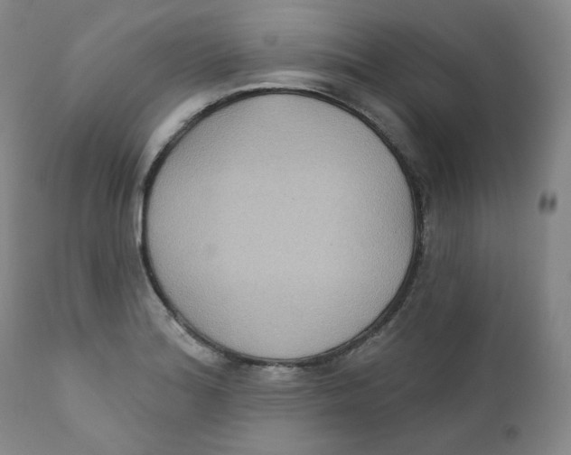 X0000111221180200907231434