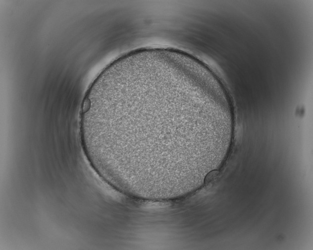 X0000111221183200907231433