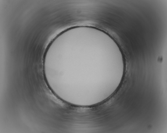 X0000111221184200907231433