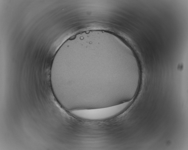 X0000111221185200907231433
