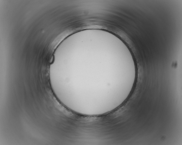 X0000111221193200907231433