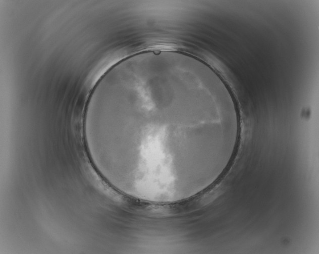 X0000111221194200907231433