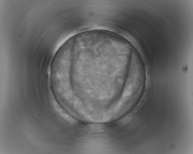 X0000111221198200907231433