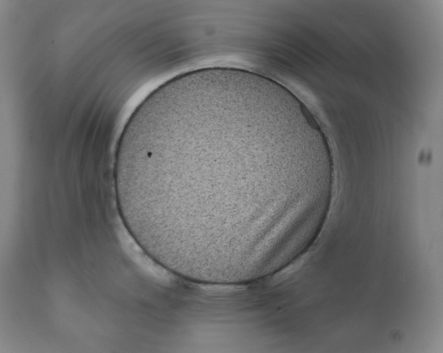 X0000111221200200907231433