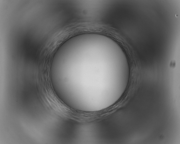 X0000111221202200907231432