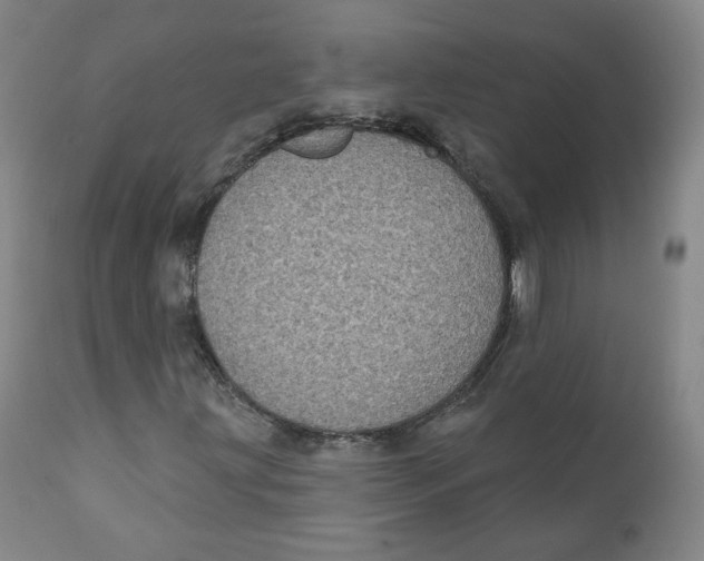 X0000111221203200907231432