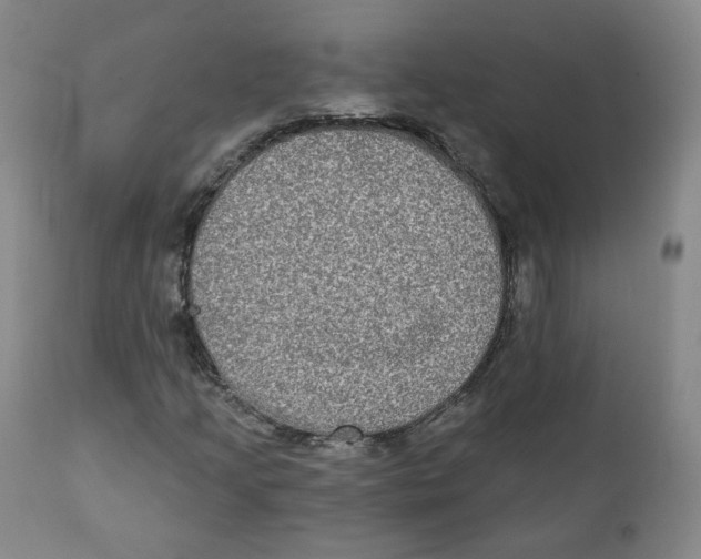 X0000111221205200907231432