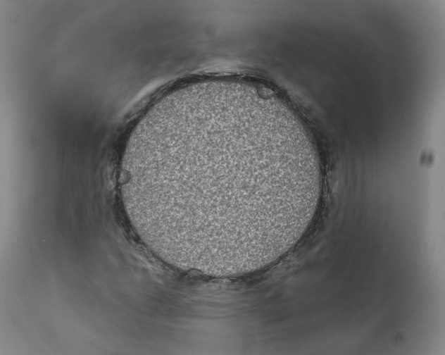 X0000111221206200907231432