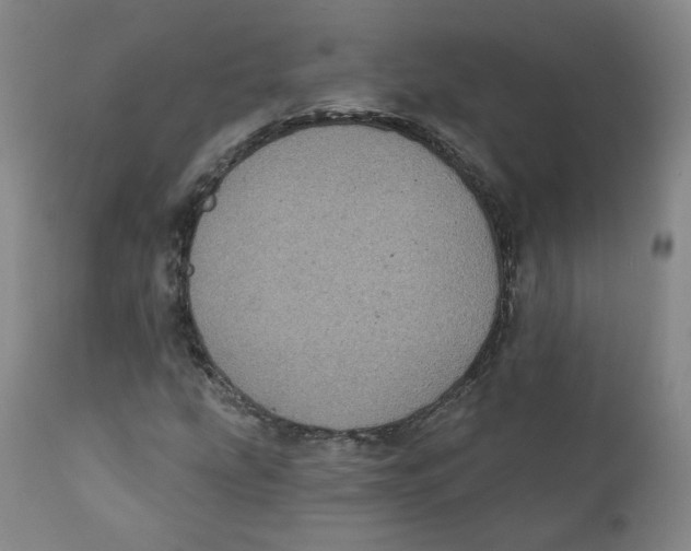 X0000111221207200907231432