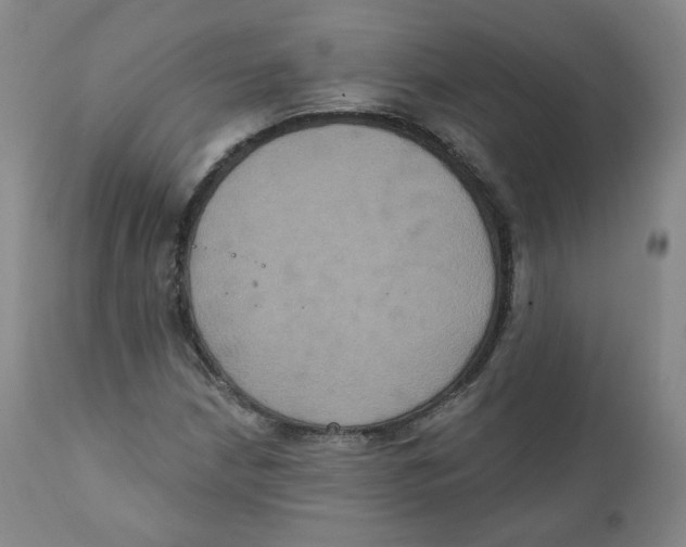X0000111221210200907231433