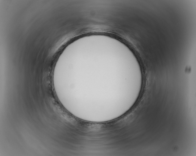 X0000111221211200907231433