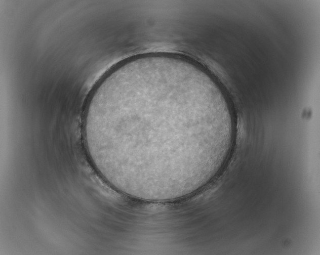 X0000111221212200907231433
