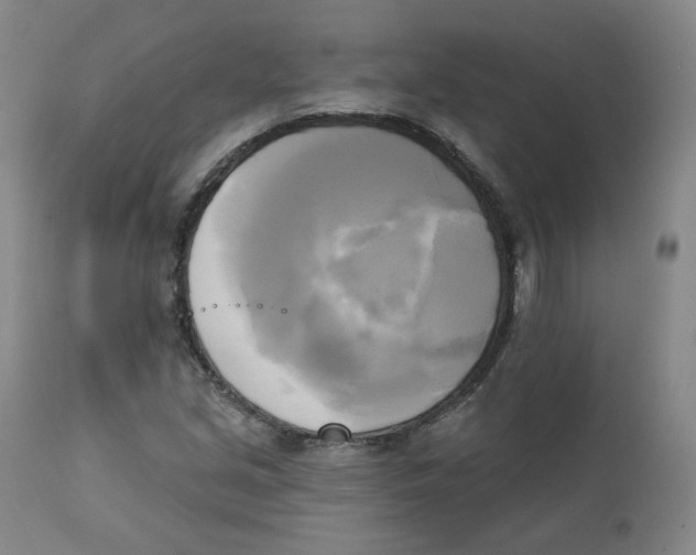 X0000111221213200907231433