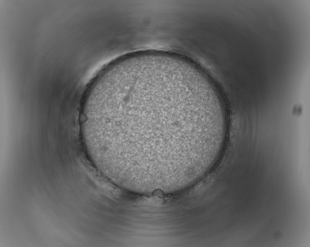 X0000111221214200907231433