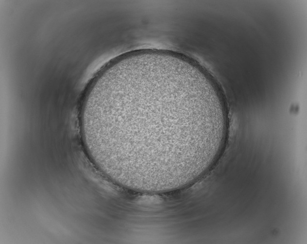 X0000111221215200907231433