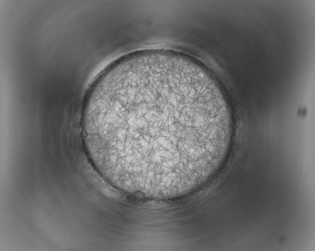 X0000111221216200907231433