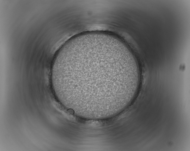 X0000111221217200907231433