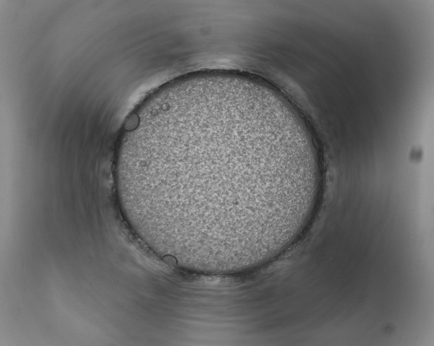 X0000111221218200907231433