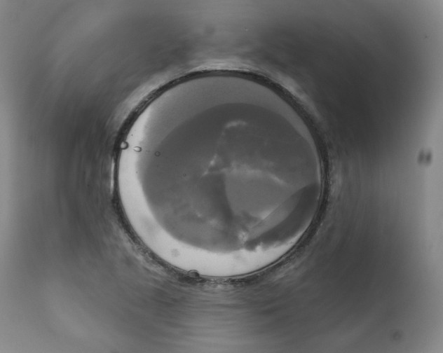 X0000111221221200907231433