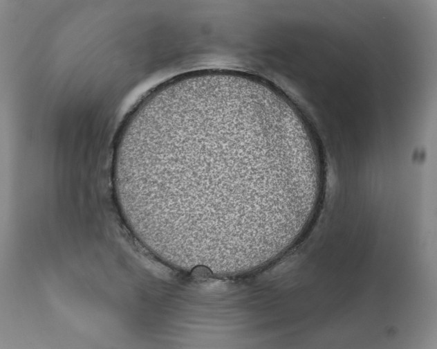 X0000111221222200907231433