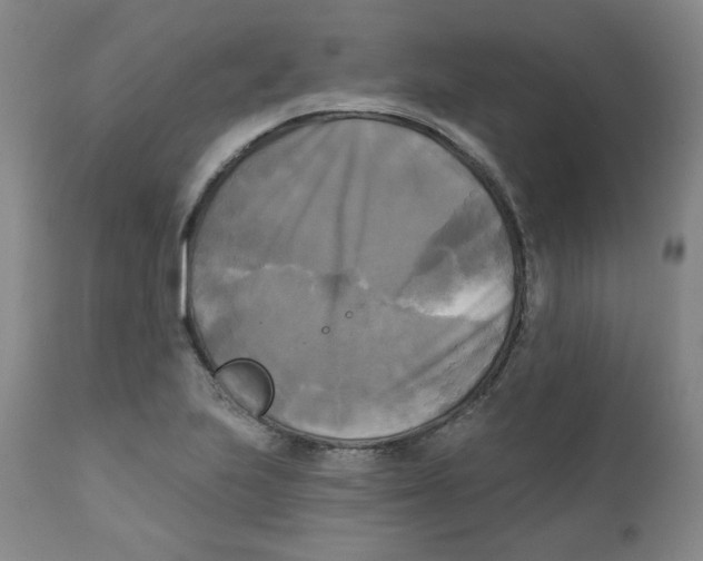 X0000111221223200907231433