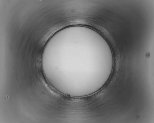 X0000111221225200907231433
