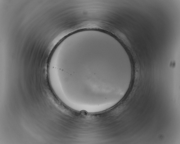 X0000111221226200907231433