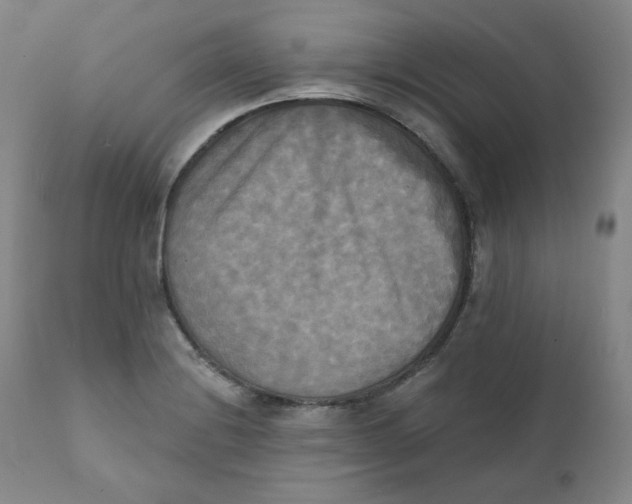 X0000111221228200907231433