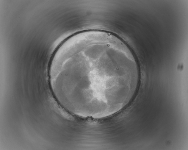X0000111221230200907231433